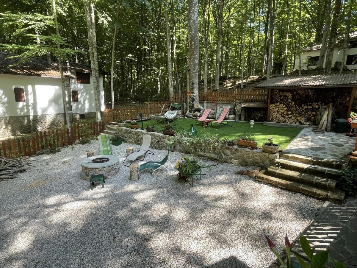 Chalet I Folletti Apartment Abbadia San Salvator Luaran gambar
