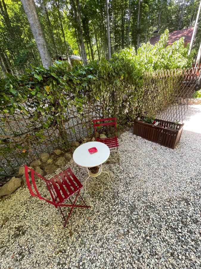 Chalet I Folletti Apartment Abbadia San Salvator Luaran gambar