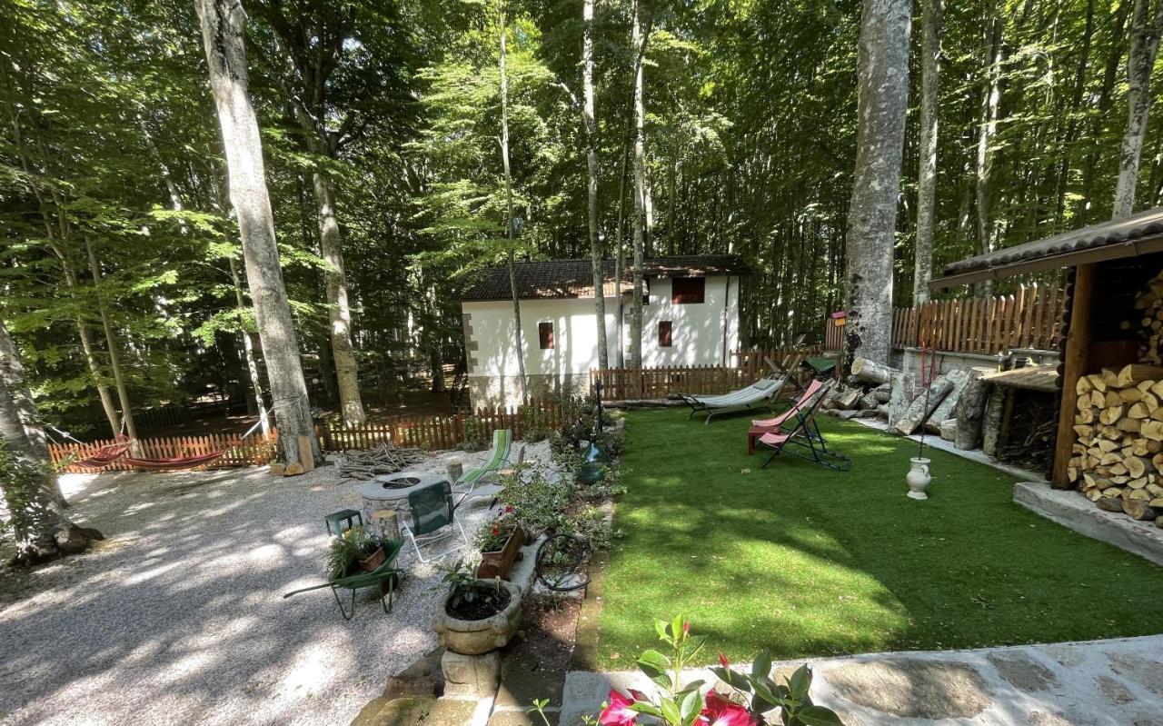 Chalet I Folletti Apartment Abbadia San Salvator Luaran gambar