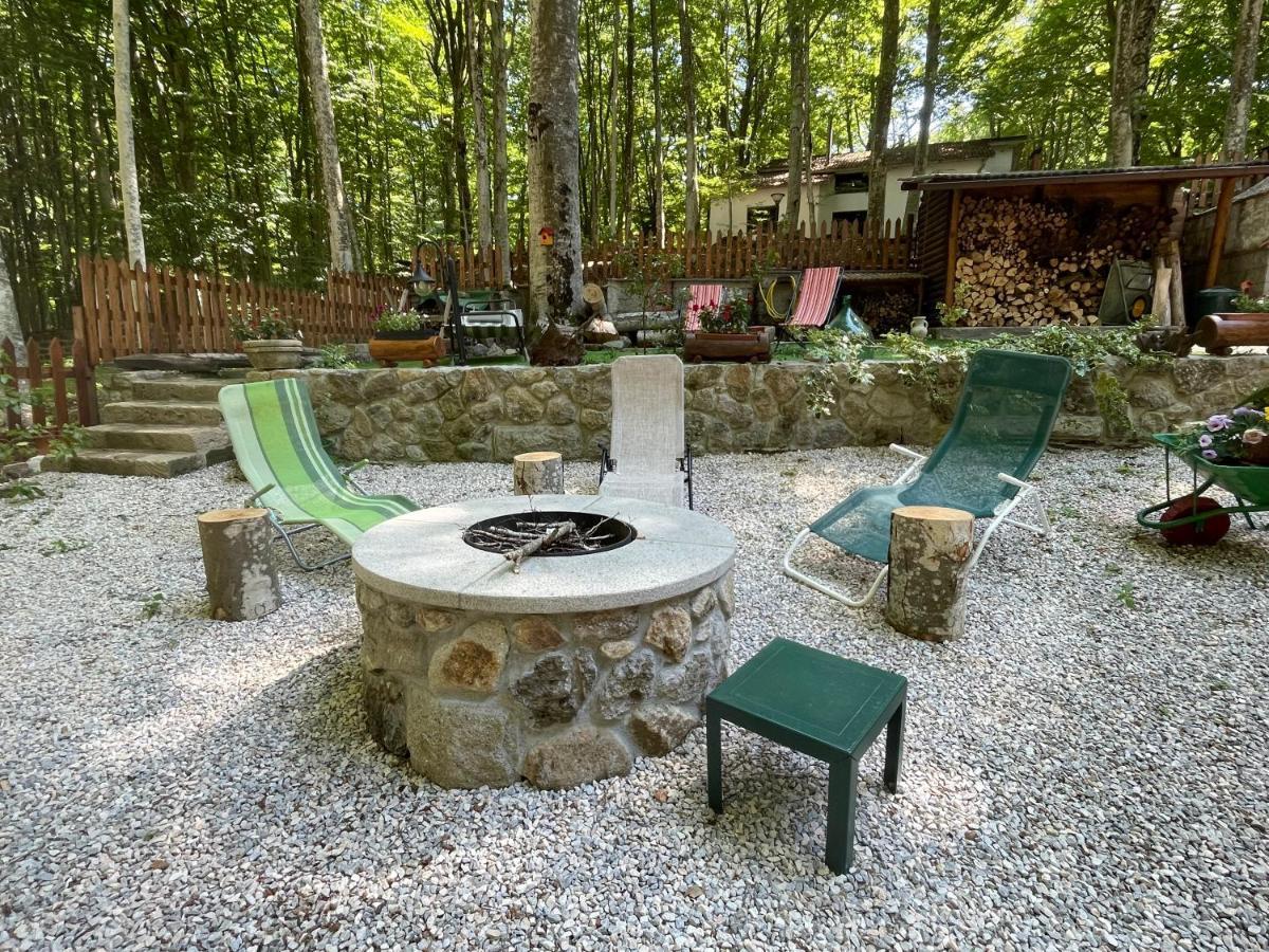Chalet I Folletti Apartment Abbadia San Salvator Luaran gambar