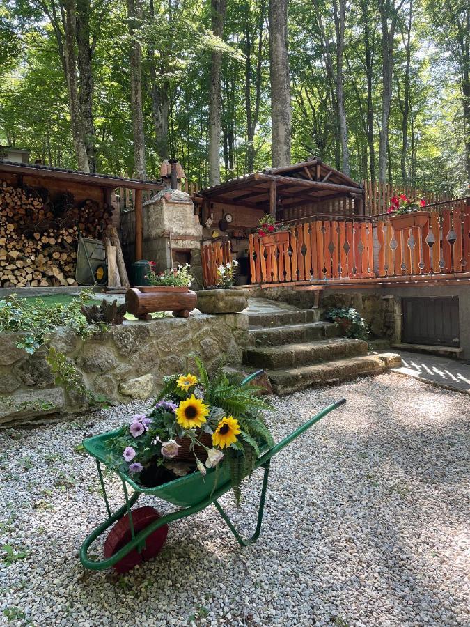 Chalet I Folletti Apartment Abbadia San Salvator Luaran gambar